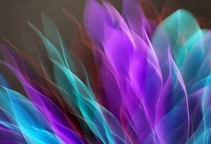 7 câu hỏi về cược đều